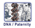 DNA / Paternity Testing