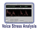 Voice Stress Analysis